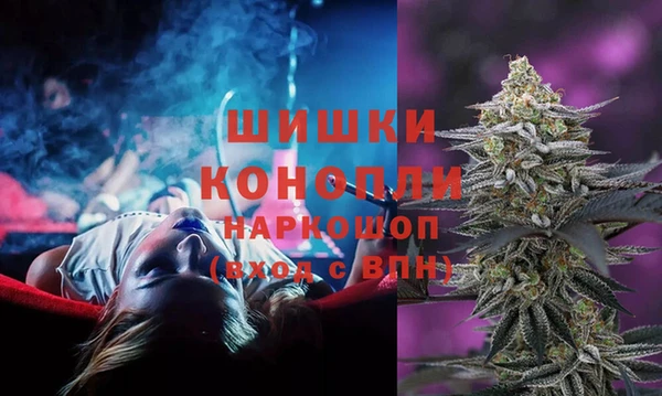 индика Бугульма